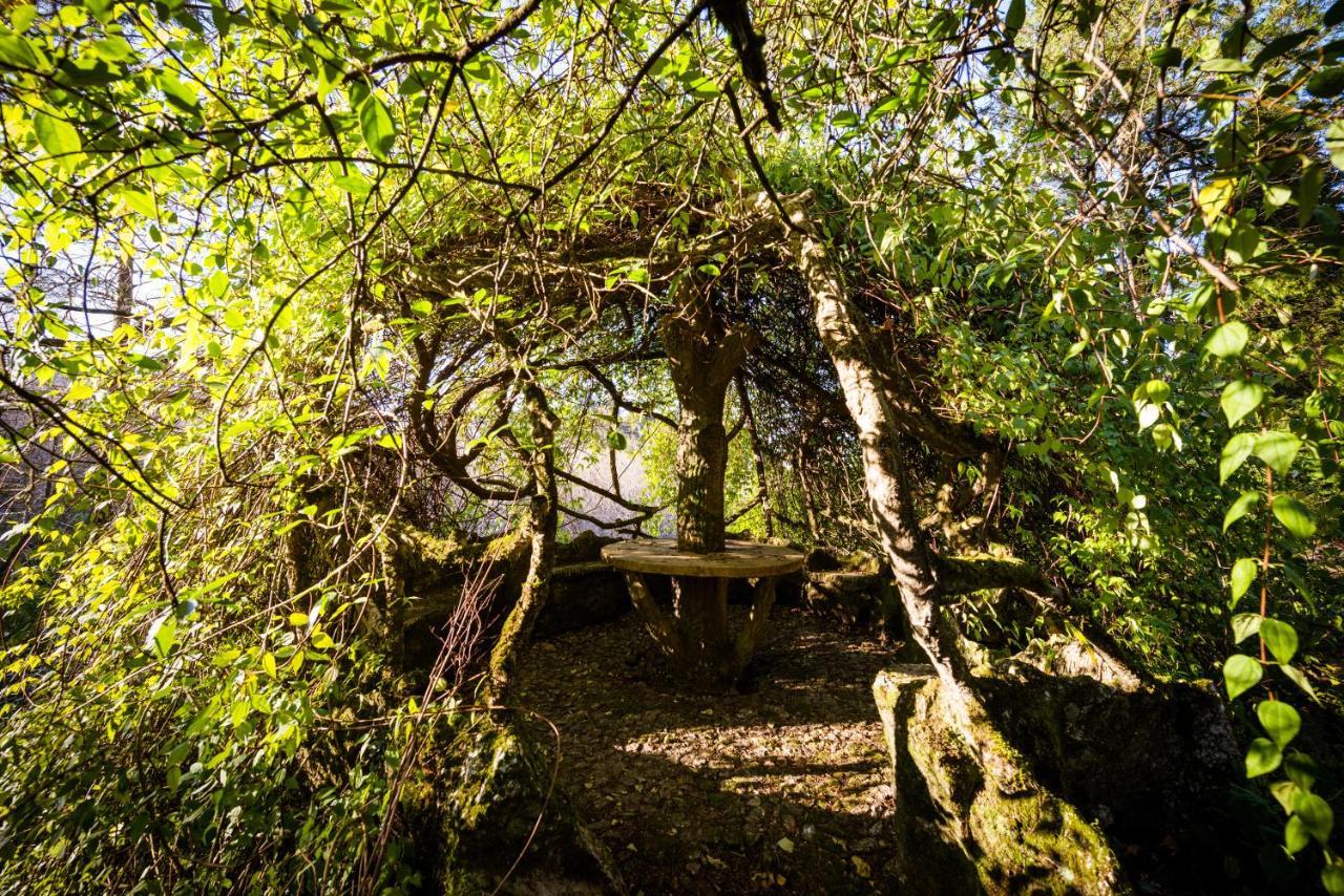 The Grove Houses Guimarães Buitenkant foto
